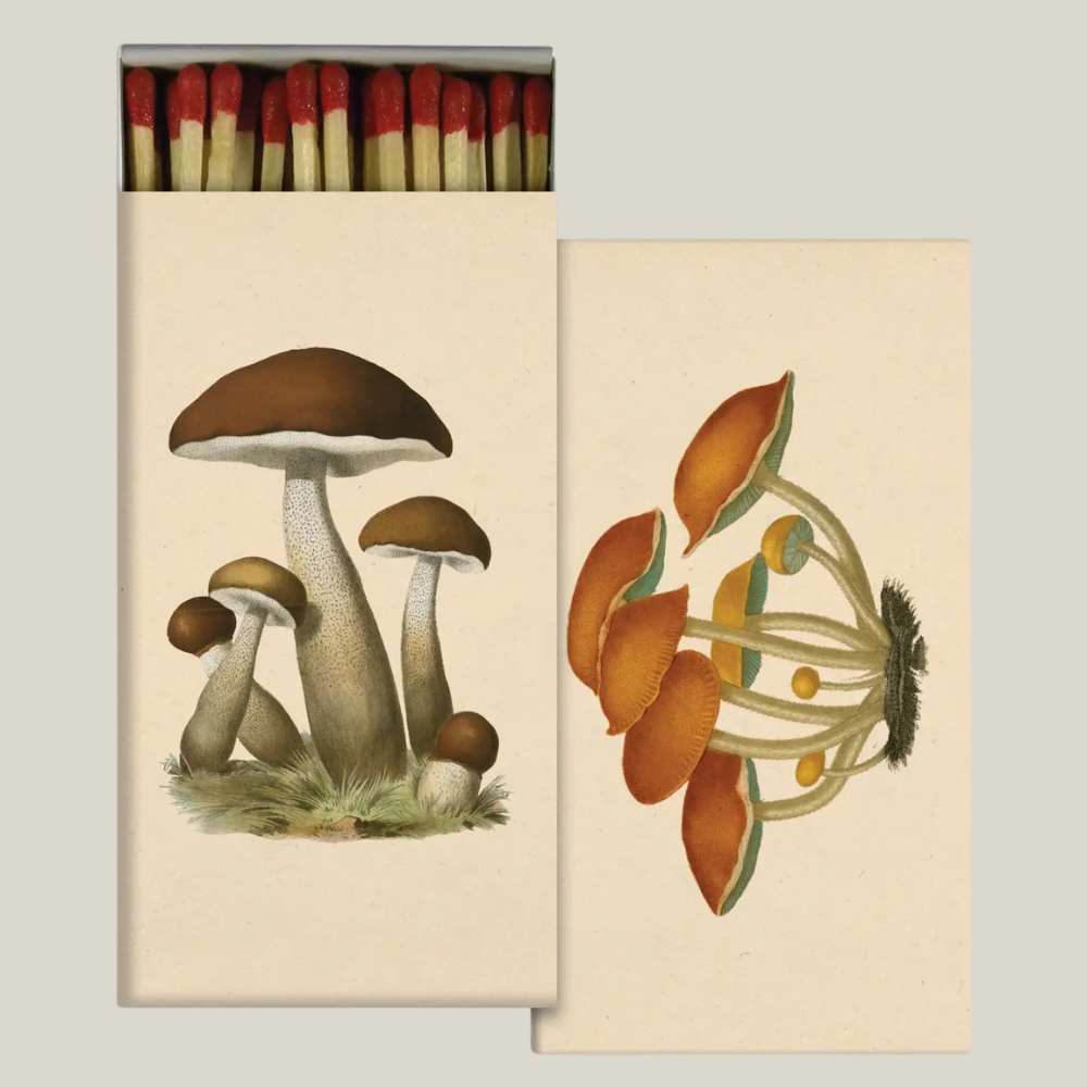 Matches in Box