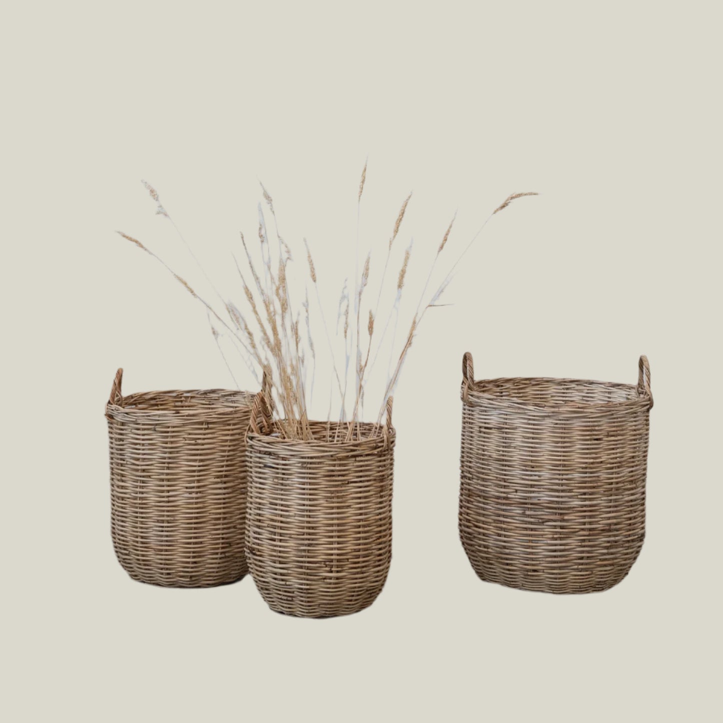 Hand-Woven Rattan Baskets w/ Handles