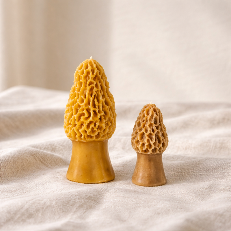 Morel Mushroom Beeswax Candle