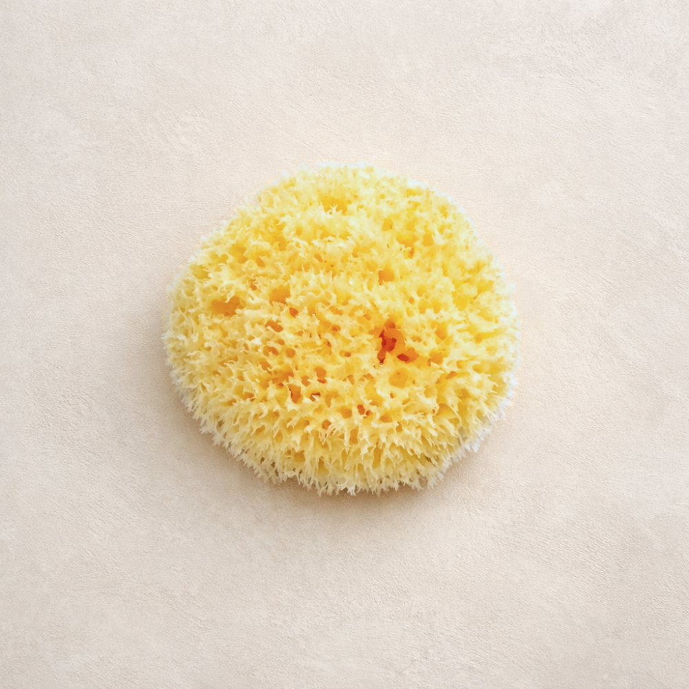 Natural Sea Sponge