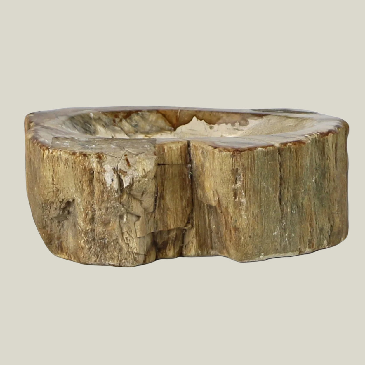 Petrified Wood Soap Dish