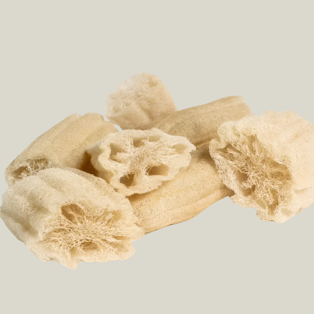 Large Loofah