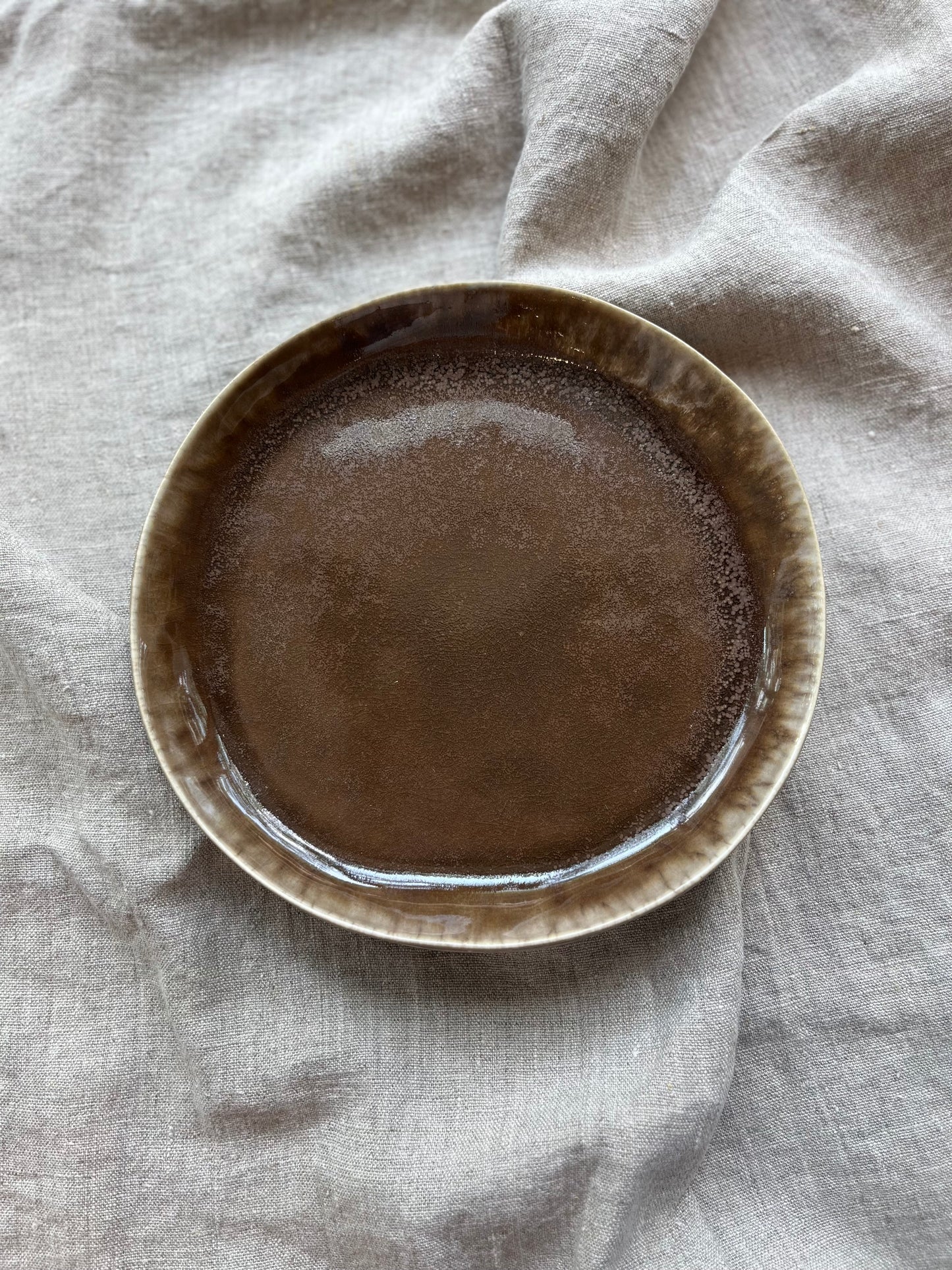 Earth Stoneware Plate