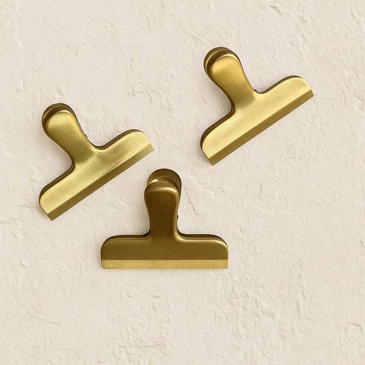 Stainless Steel Clip