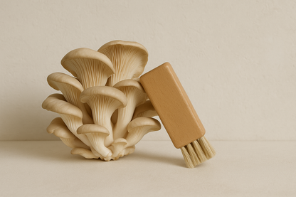 Beech Wood Mushroom Brush