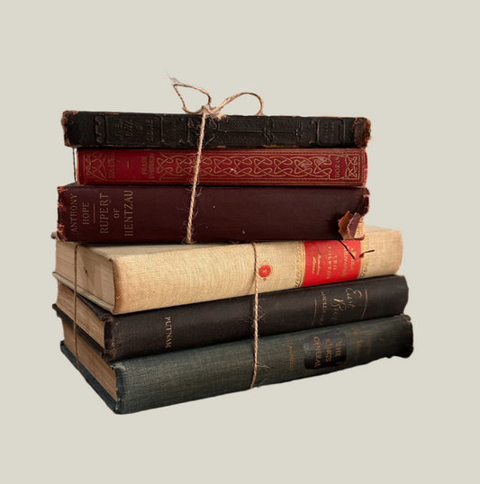 Vintage Book Bundle