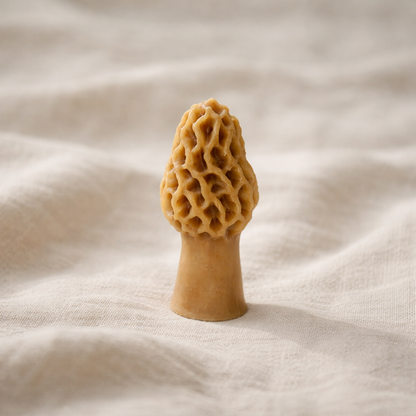 Morel Mushroom Beeswax Candle