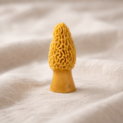Morel Mushroom Beeswax Candle