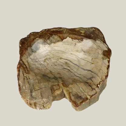 Petrified Wood Soap Dish