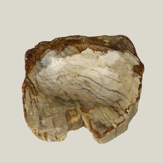 Petrified Wood Soap Dish