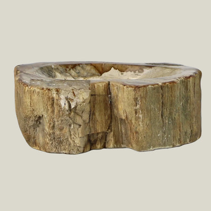 Petrified Wood Soap Dish