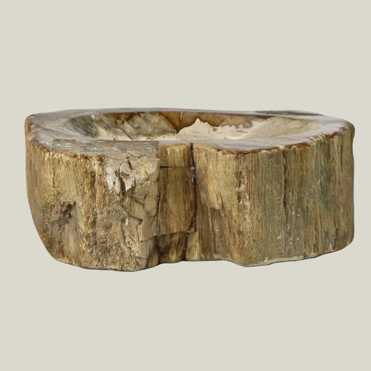 Petrified Wood Soap Dish