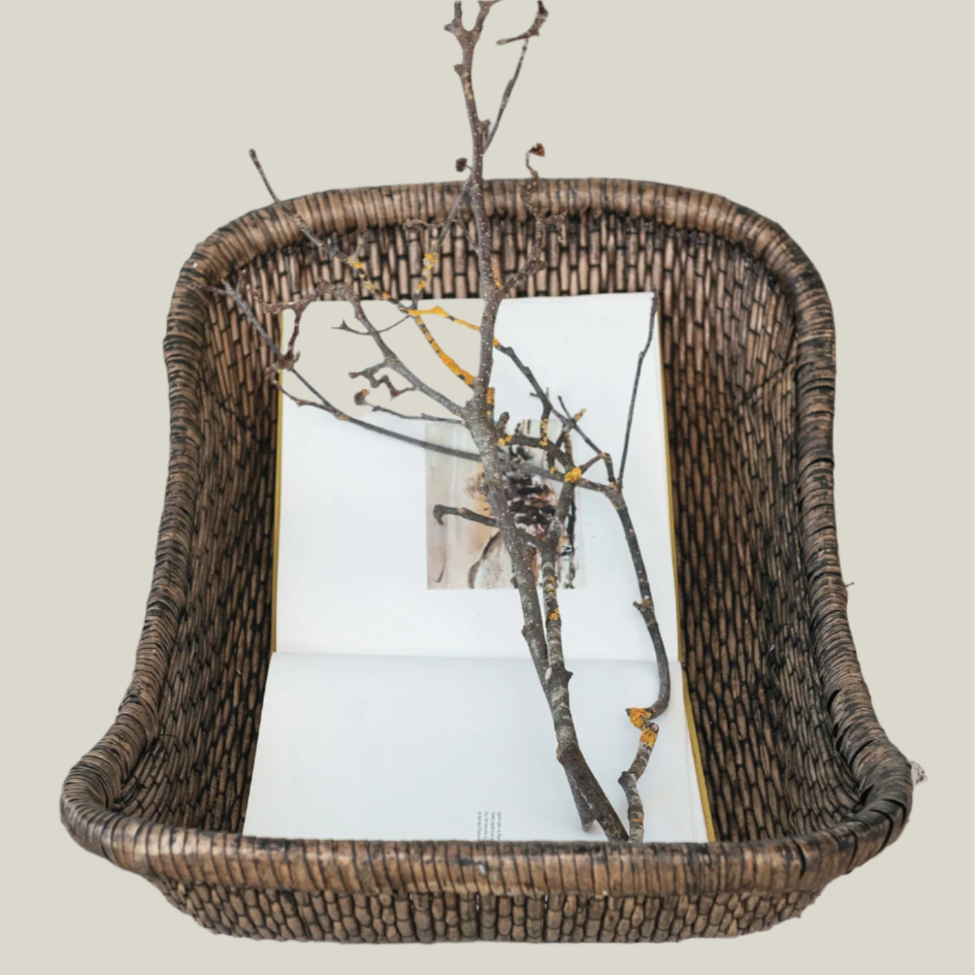 The Gatherer's Basket Tray